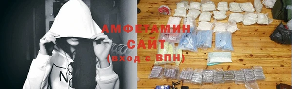 гашик Гусев