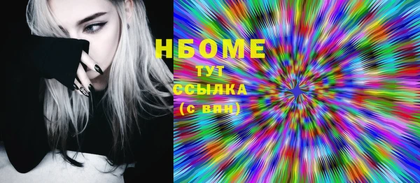 мдпв Гусь-Хрустальный