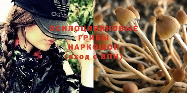меф Алексин