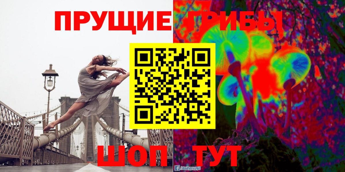 Донецк  Псилоцибиновые грибы GOLDEN TEACHER  Вход с VPN 