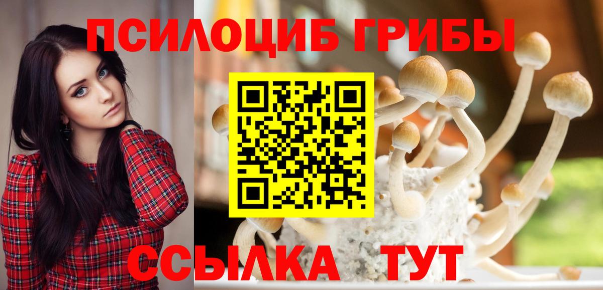 Псилоцибиновые грибы Cubensis Донецк